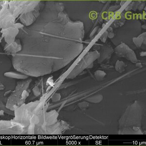 Anthopyhllite, image MEB | © CRB Analyse Service GmbH