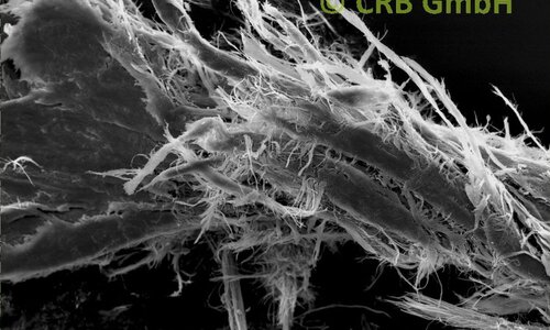 Amiante de chrysotile dans linoléum, image MEB | © CRB Analyse Service GmbH